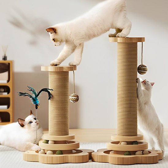 Arbre à chat | multifonction 4 en 1