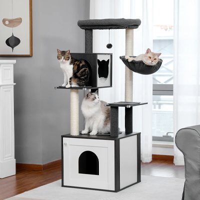 Arbre-a-Chat-en-bois-dans-salon