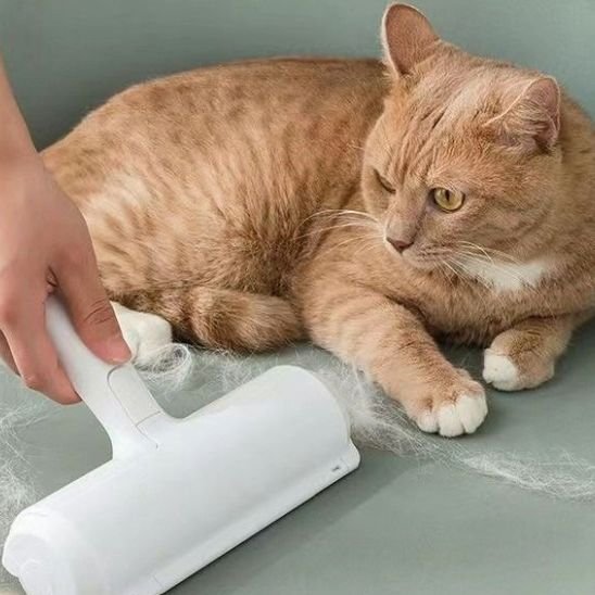 Brosse anti poil chat coucher a cote