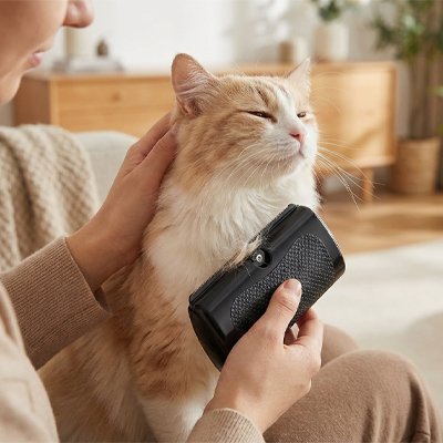 Brosse-poil-chat-​coupe-poil