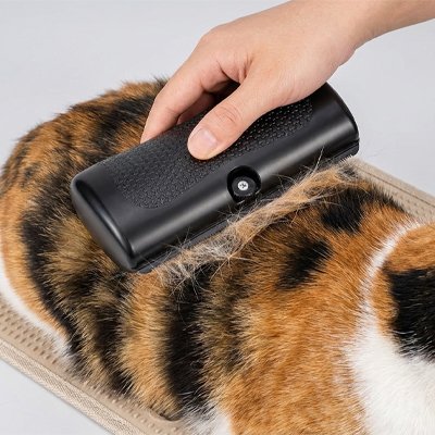 Brosse-poil-chat-​enleve-les-poil