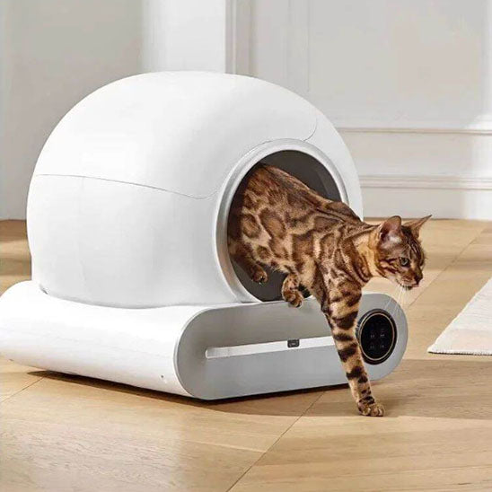 Bac à litière chat | CleanAuto