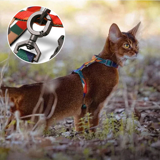 Laisse pour chat | multicolore