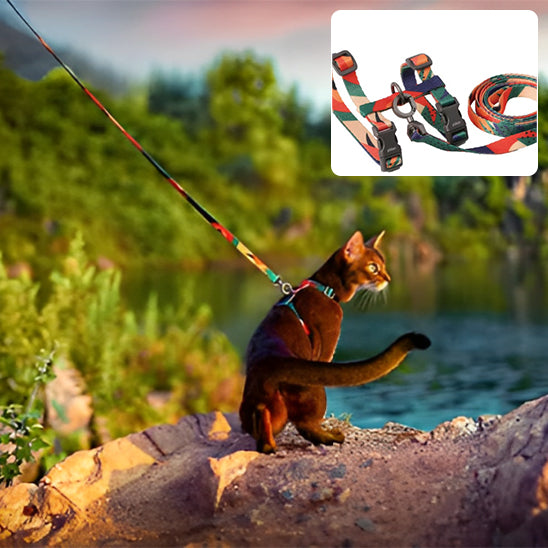 Laisse pour chat | multicolore