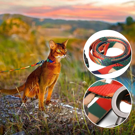 Laisse pour chat | multicolore