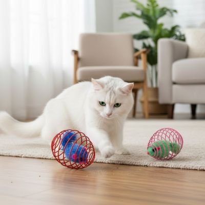 Chat-jouet-regarde-les-jeux