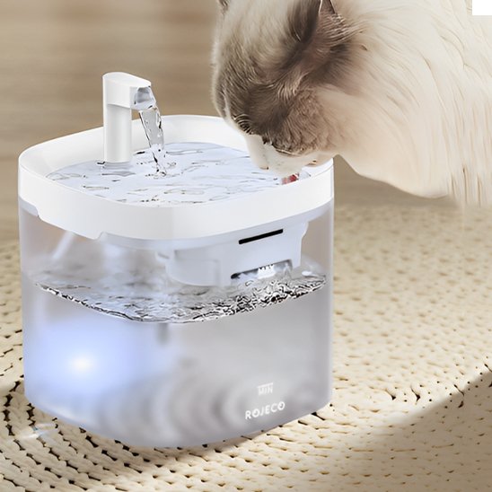 Fontaine-a-eau-chat-aime