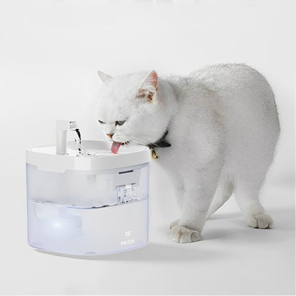 Fontaine-a-eau-chat-apprécie-l'eau