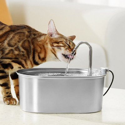 Fontaine-a-eau-Chat-boit-avec-plaisir
