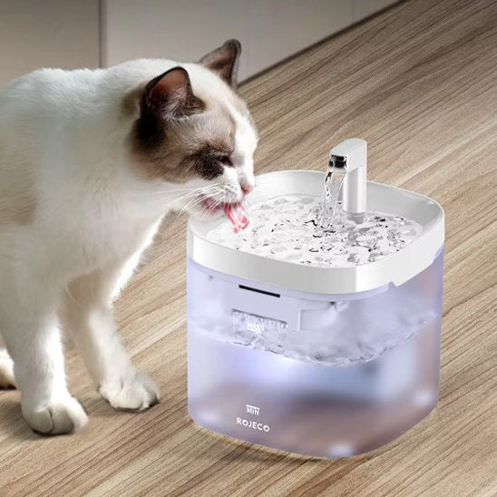 Fontaine-a-eau-chat-boit-dans-le-salon