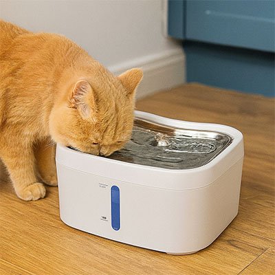 Fontaine-a-eau-Chat-boit-dans-le-salon