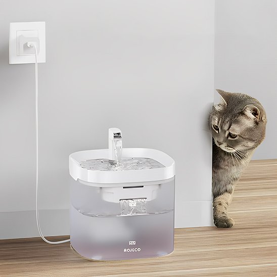 Fontaine-a-eau-chat-découvre-la-fontaine