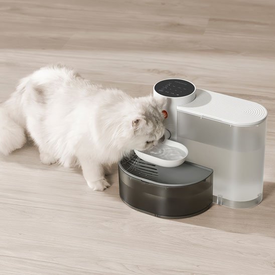 Fontaine-a-eau-chat-qui-boit