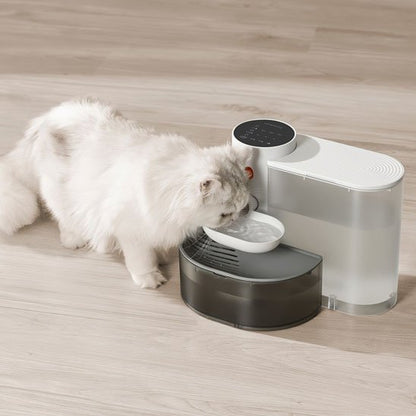 Fontaine-a-eau-chat-qui-boit