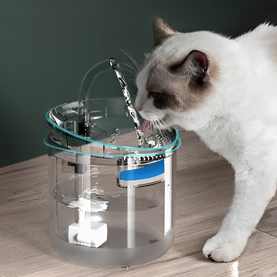 Fontaine-a-eau-chat-regarde