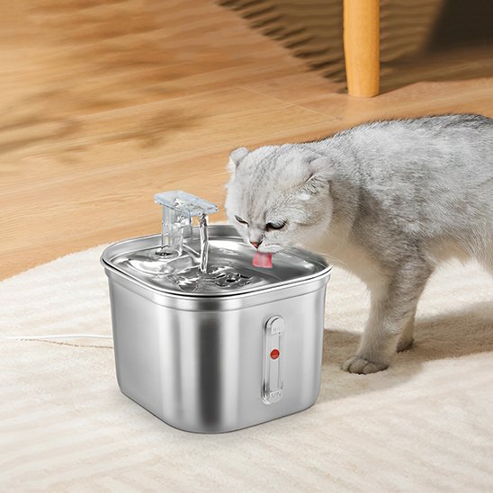 Fontaine-a-eau-chat-salon