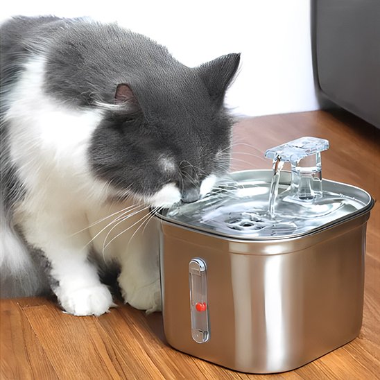 Fontaine-a-eau-chat-se-penche