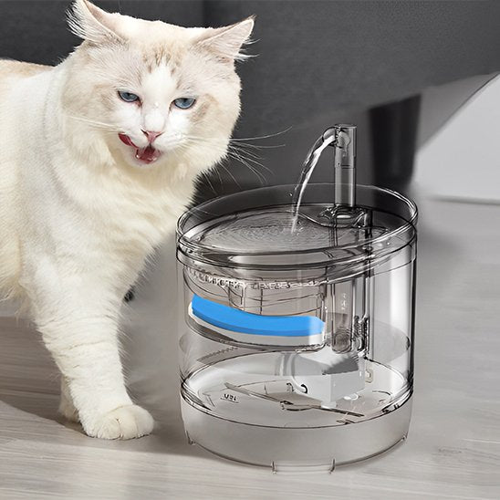 Fontaine-a-eau-chat