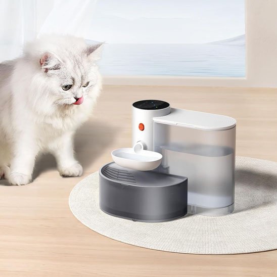 Fontaine-a-eau-chat