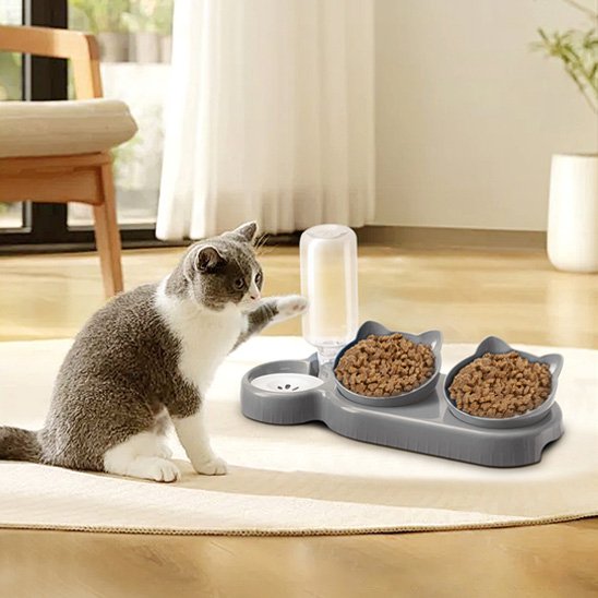 Gamelle-chat-assis-a-cote