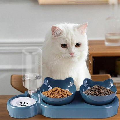 Gamelle-chat-chat-sur-la-chaise-regarde-la-gamelle