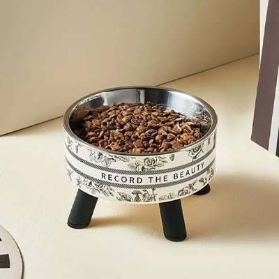 Gamelle-Chat-surélevée-avec-nourriture  