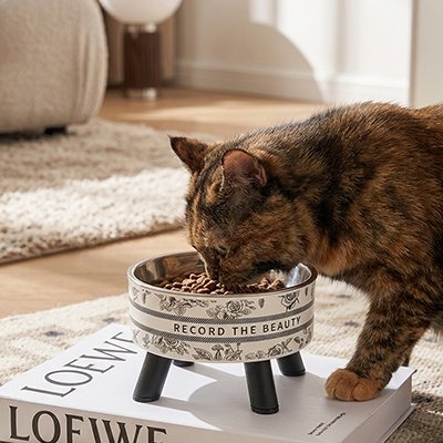 Gamelle-Chat-surélevée-chat-mange-dans-le-salon