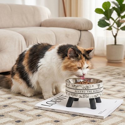 Gamelle-Chat-surélevée-chat-mange