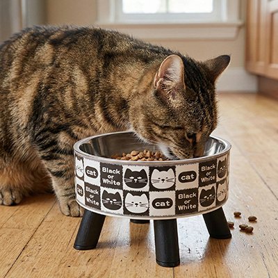 Gamelle-Chat-surélevée-chat-qui-mange