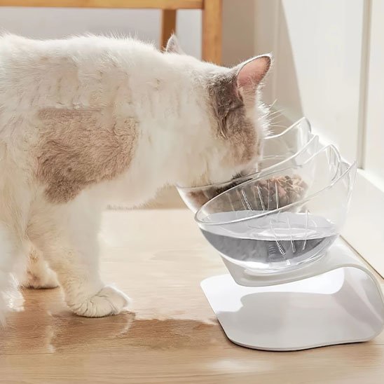 Gamelle chat