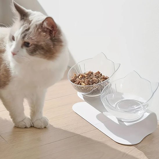 Gamelle chat