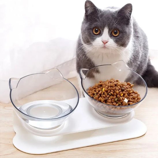 Gamelle chat