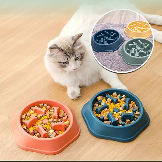 Gamelle pour chat Anti étouffement-slowmealbowl™