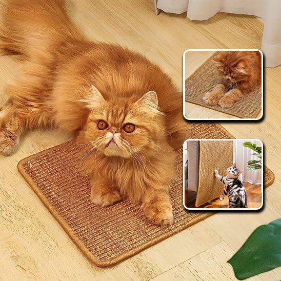 Grattoir pour chat-Catscratcher™