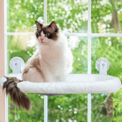 Hamac-pour-chat-assis-près-de-la-fenêtre 