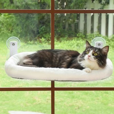 Hamac-pour-chat-coucher-sur-le-hamac