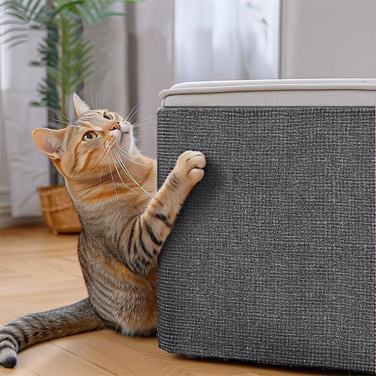 Tapis Anti Rayure Polyester-Anti-scratchpolyestermat™