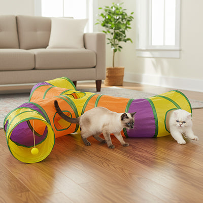 tunnel-pour-chat-joue-dans-le-salon