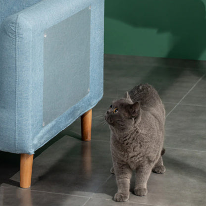 Film Anti-Griffure Transparent-AntiScratchFilm™