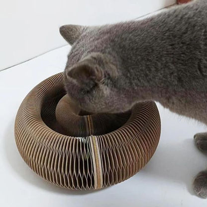 Grattoir pour chat™ | accordéon pliable