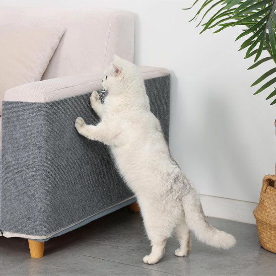 Tapis Anti Rayure Polyester-Anti-scratchpolyestermat™