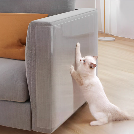 Film Anti-Griffure Transparent-AntiScratchFilm™