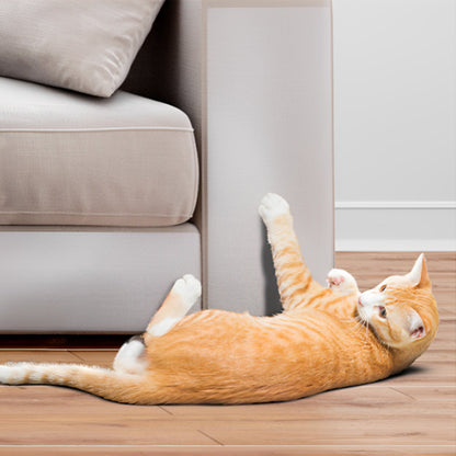 Film Anti-Griffure Transparent-AntiScratchFilm™