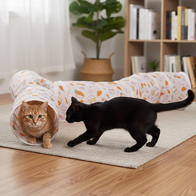 Tunnel pour chat | Félin Explorateur