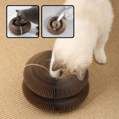 Grattoir pour chat™ | accordéon pliable
