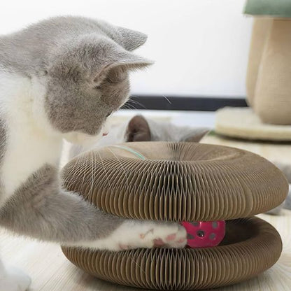 Grattoir pour chat™ | accordéon pliable