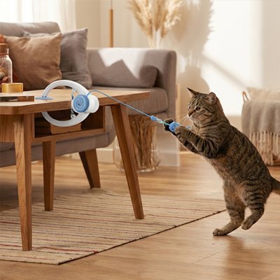 Jeu-pour-Chat-joue-salon
