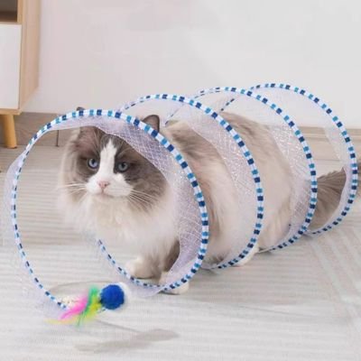 Jeux-pour-chat-coucher-joue 