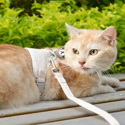 Laisse-pour-chat-dans-jardin-sur-un-banc