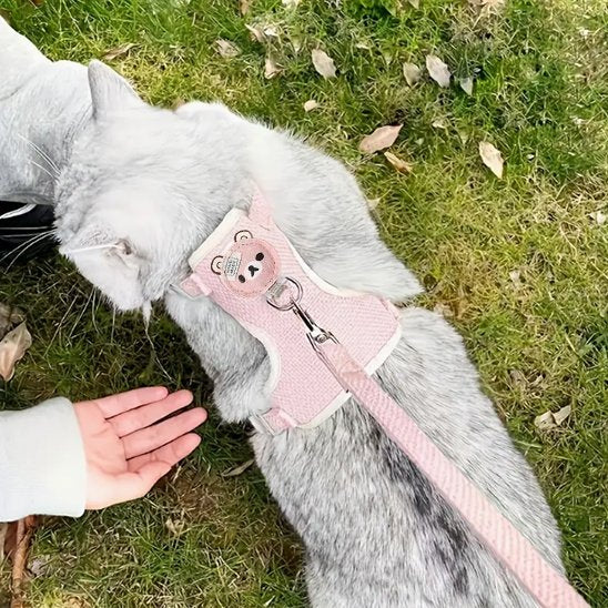 Laisse-pour-chat-rose-se-promene